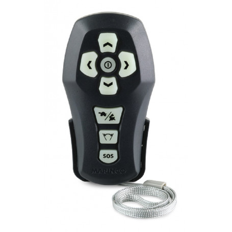 Commande sans fil pour projecteur de pont
