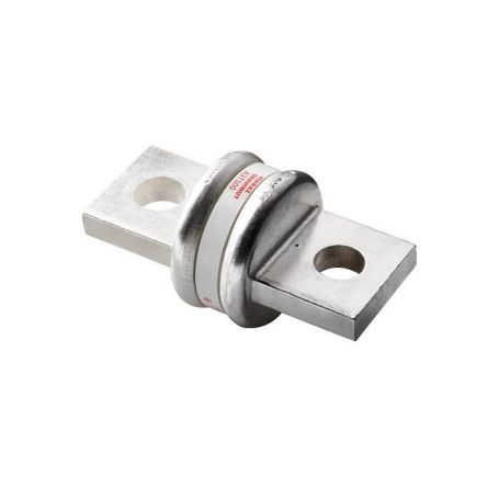 Fusible Classe T 500A